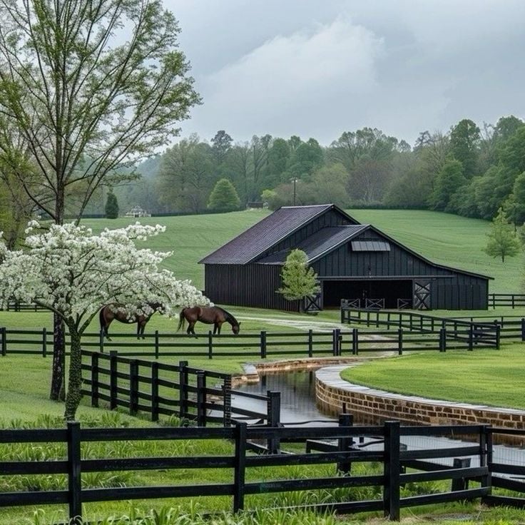 The Art of Equestrian Living: Fieldstone Farm – A Legacy in the Making