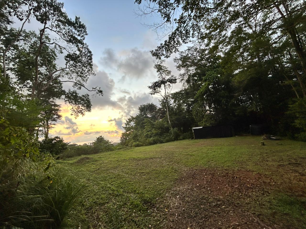 1.7 Acres Ocean View Lot with Producing Cabin in Uvita