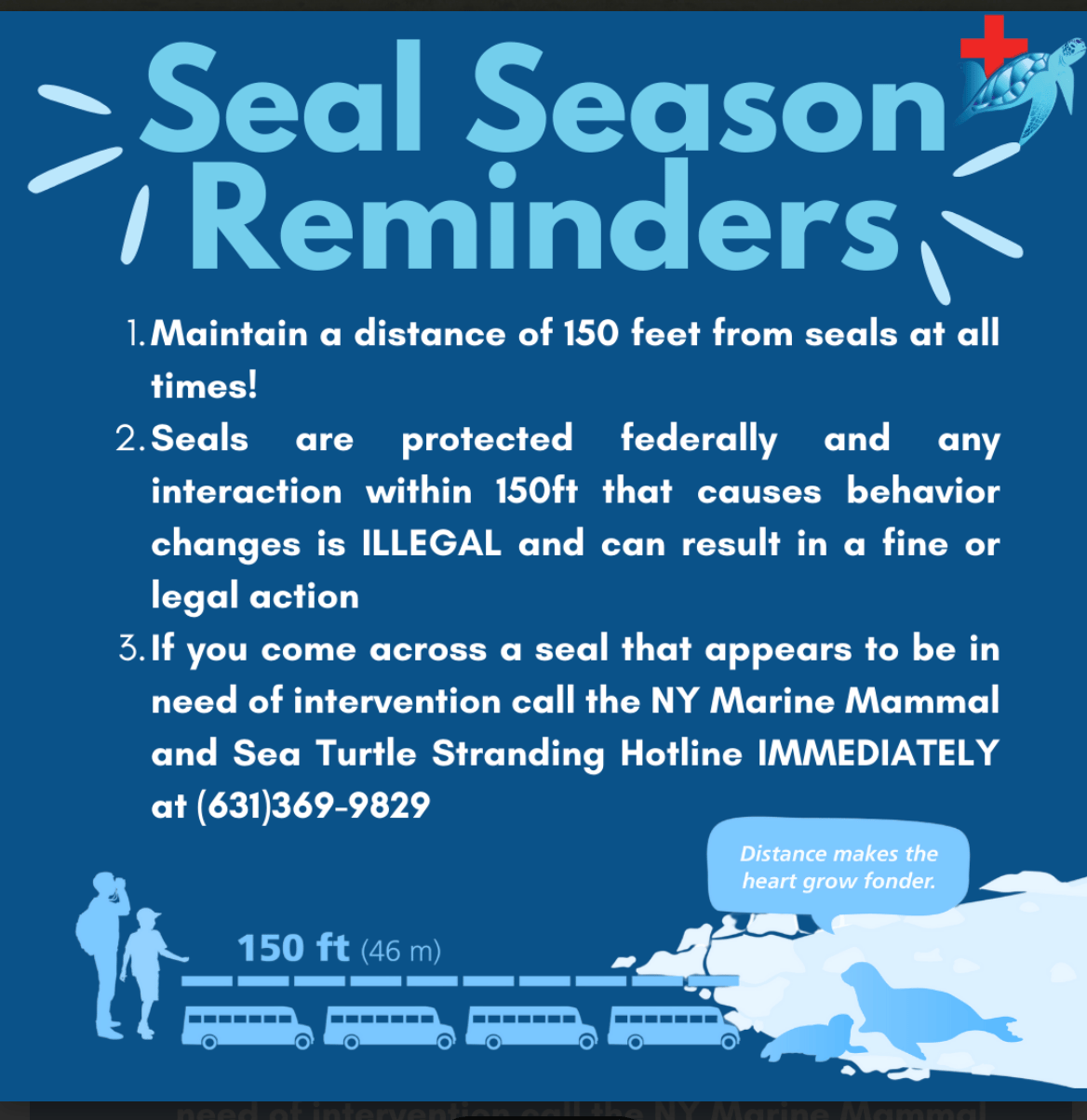 Seal Season | Be Aware | Be INFORMED