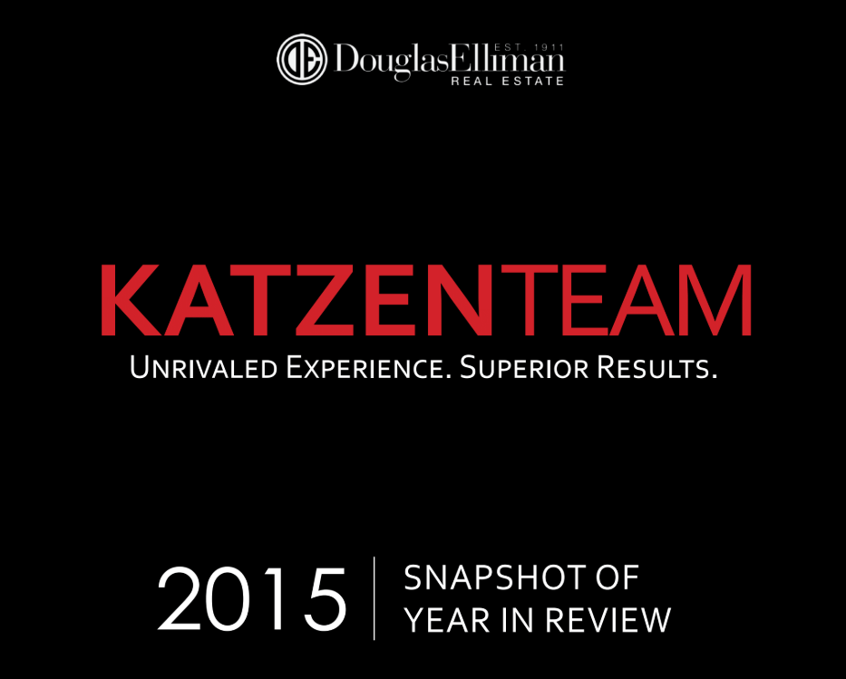 2015 Snapshot Year in Review