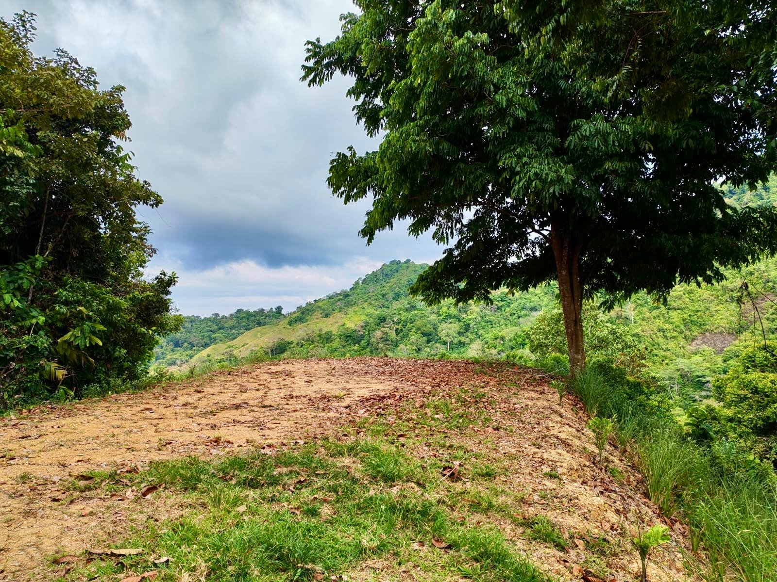 24.7-Acre Ocean View Eco Estate in San Cristóbal de Aguirre | 5 Building Sites