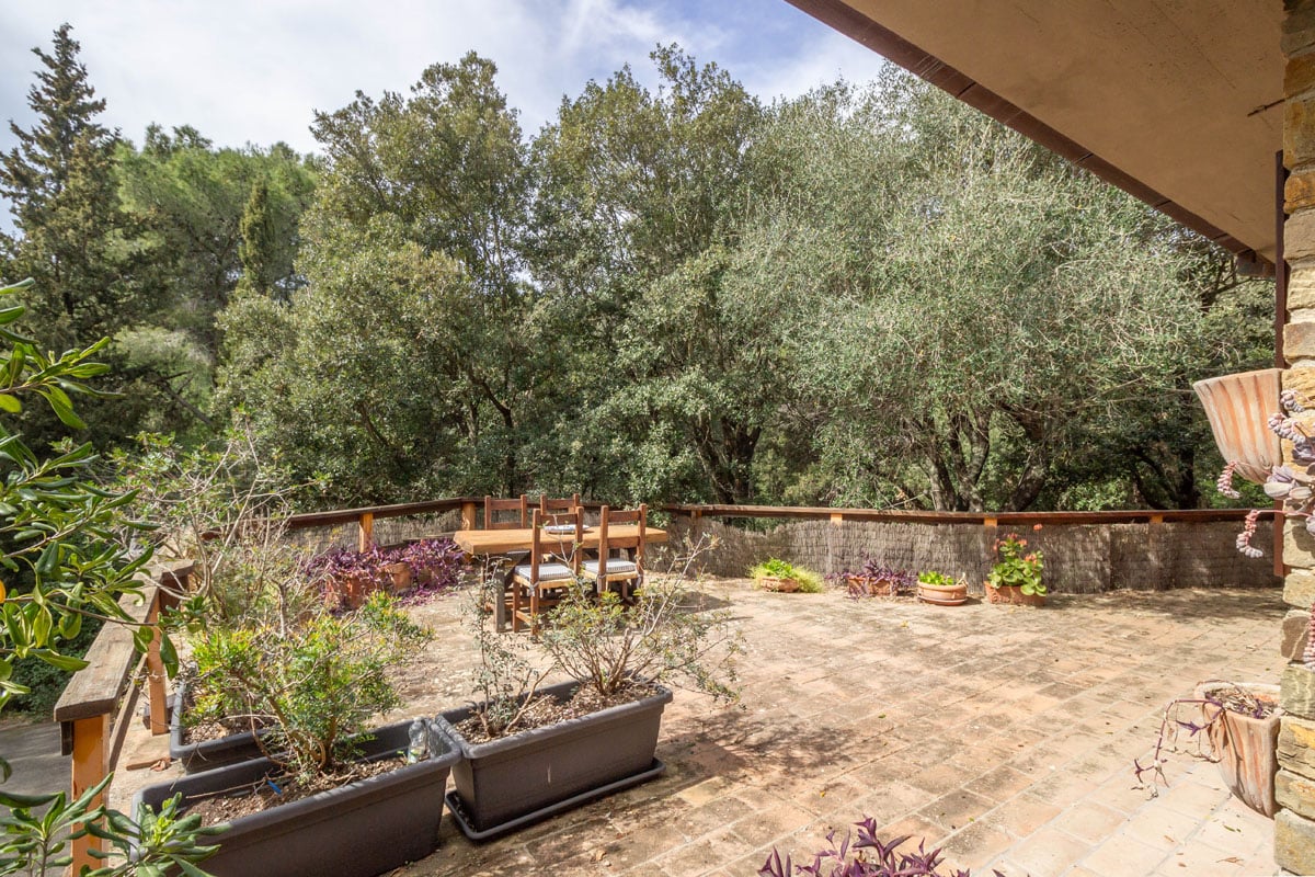 Renovated Flat in Castiglione della Pescaia