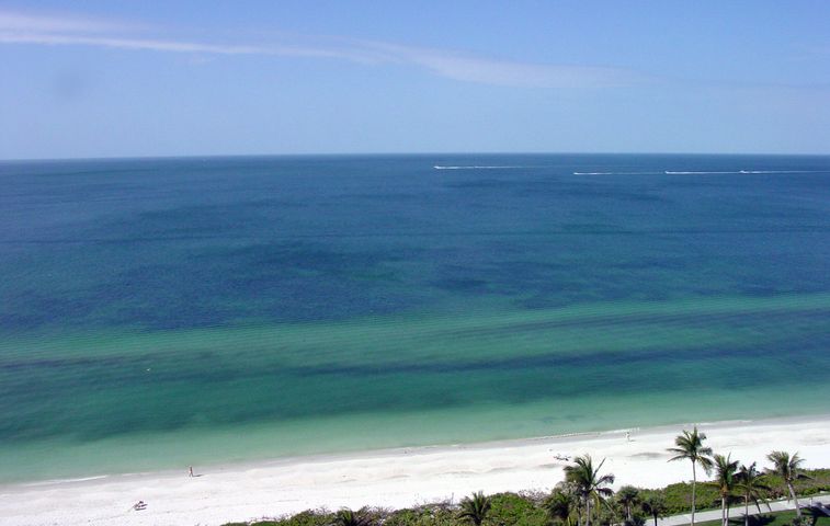 Park Shore