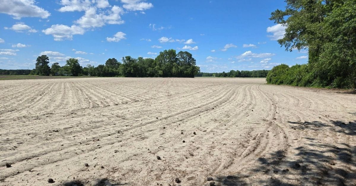 Exceptional 20-Parcel Development Opportunity or Premier Equestrian/Farm Homestead in Meadow, Johnston County