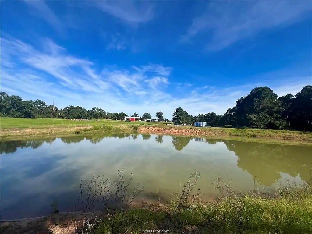 A pond reflects the blue sky, bordered by grassy banks, open fields, and trees.
