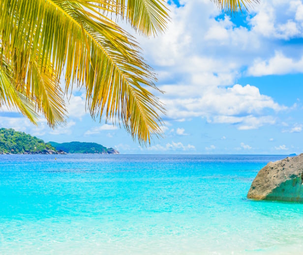 Acheter à Sint Maarten : quel est le vrai budget à prévoir avec la transfer tax de 4 % ?
