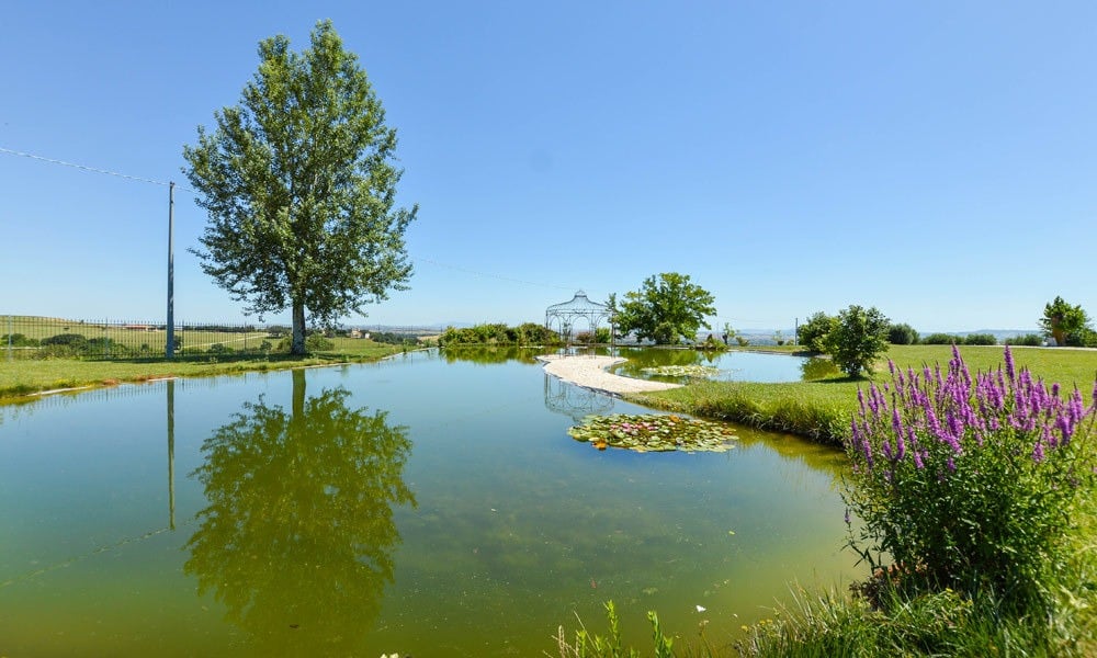 Monastery Near Treia With Golf Course And Pool