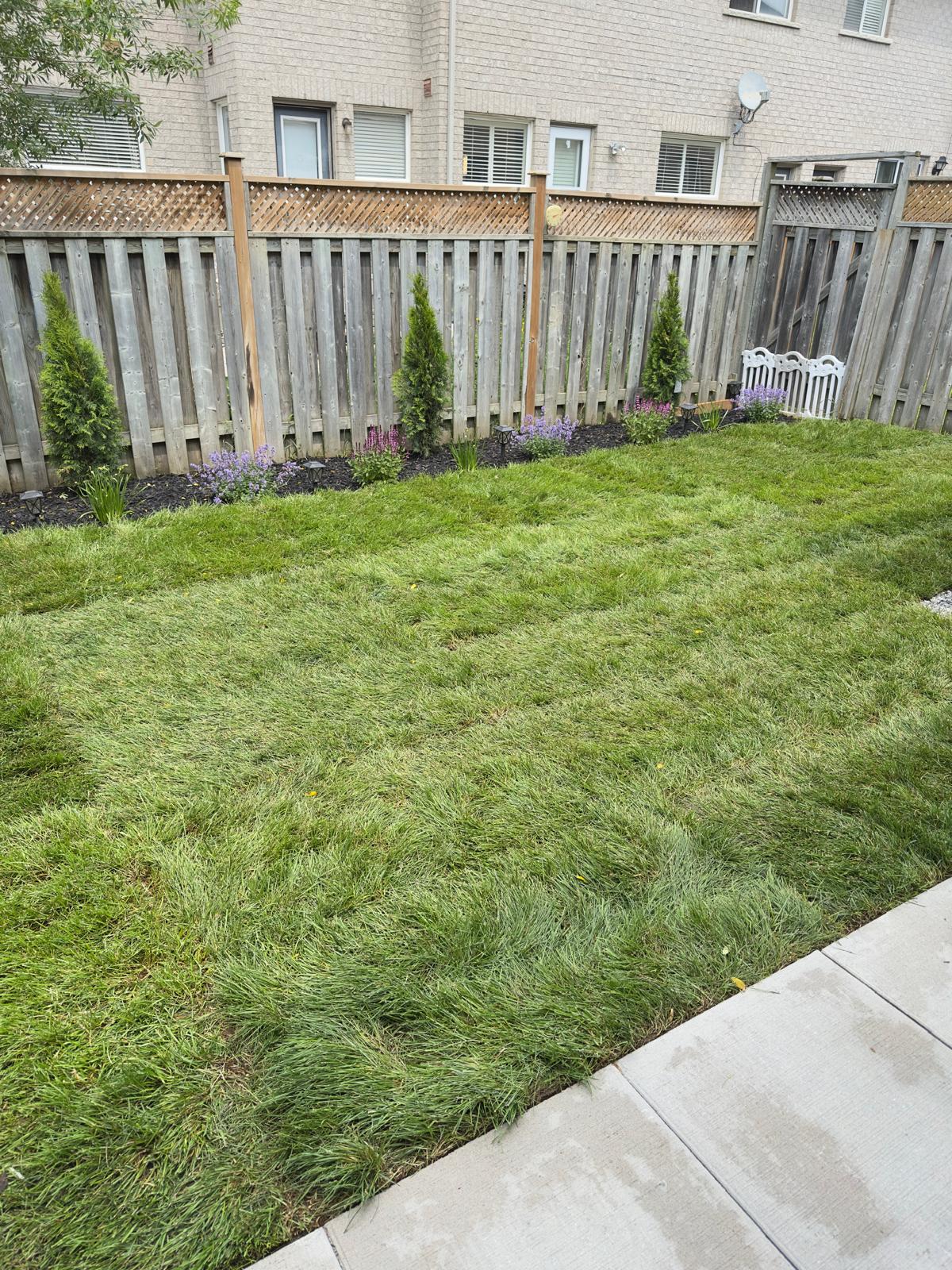84 Grasslands Ave