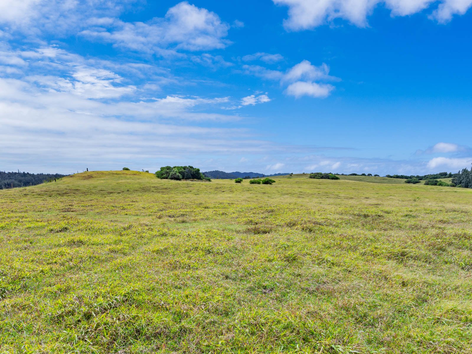 58-248 Kamehameha Hwy