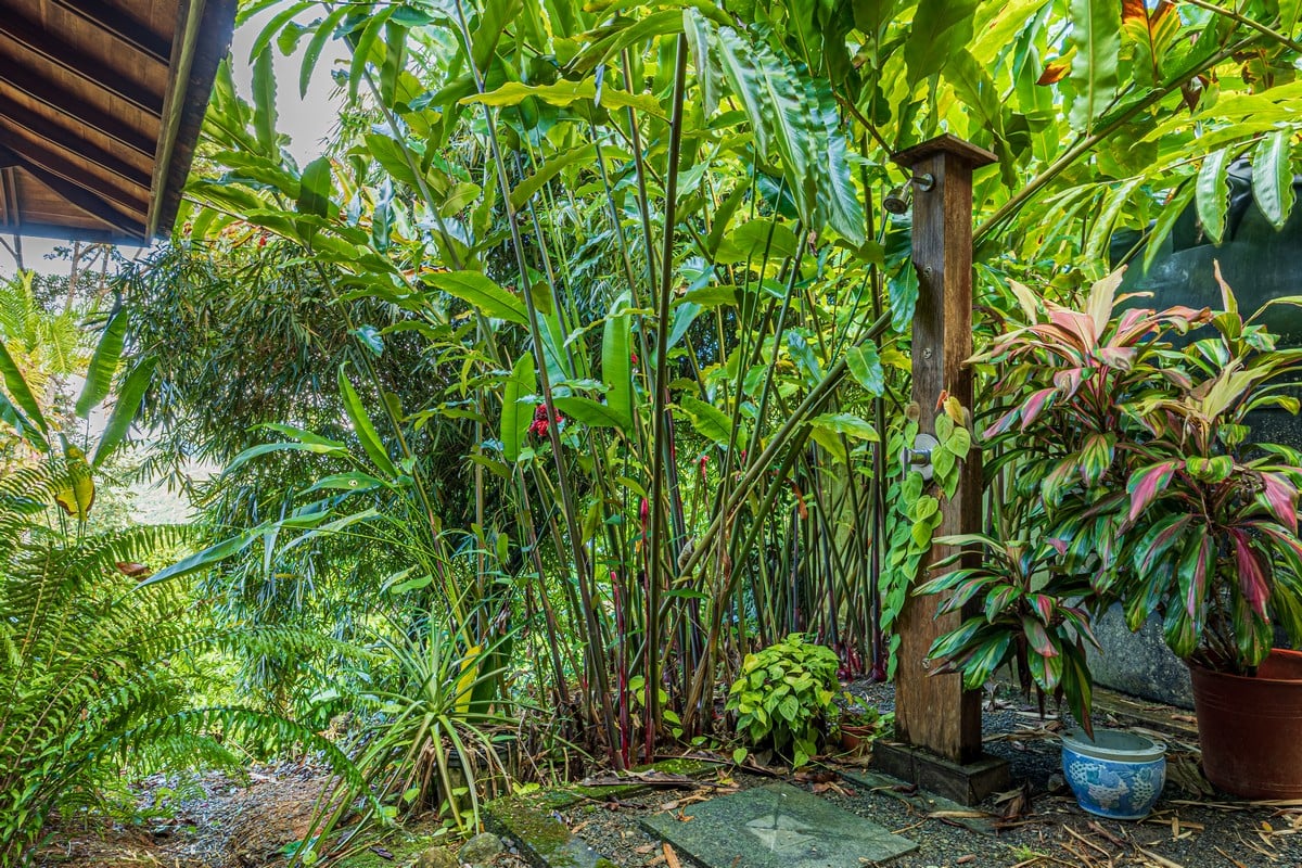 1.37 ACRES – 2 Bedroom Bali Style Home With Pool And THE BEST Ocean View!!!!!