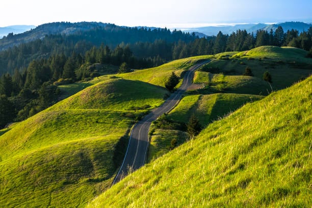 Mount Tamalpais: Lifestyle, Trails & Living Near Marin’s Iconic Landmark