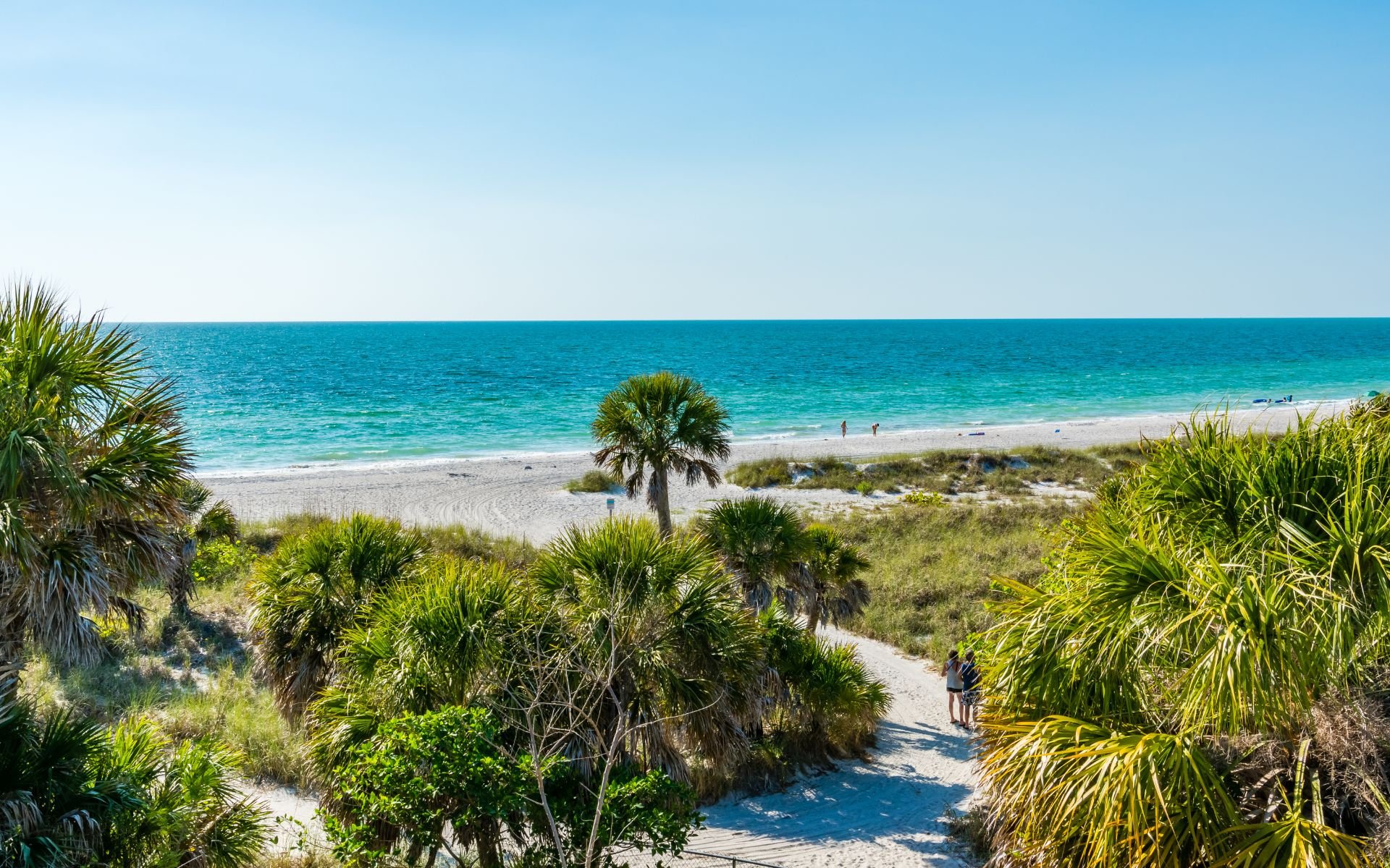 South Tampa Living