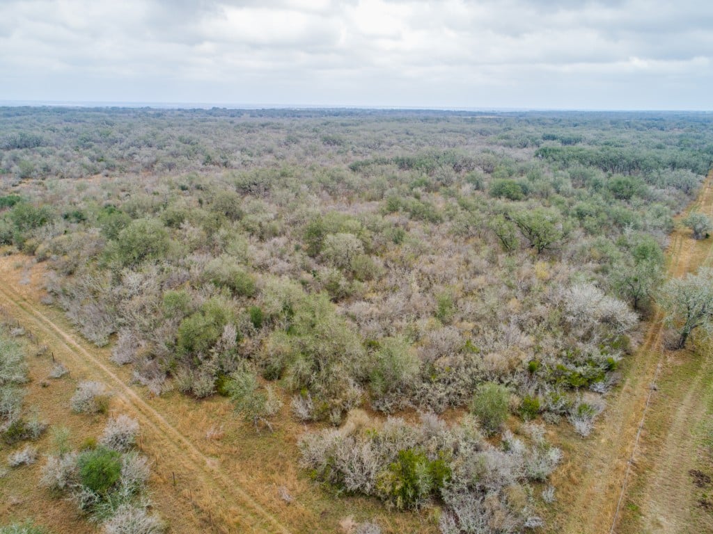 300 Acres in Goliad County 