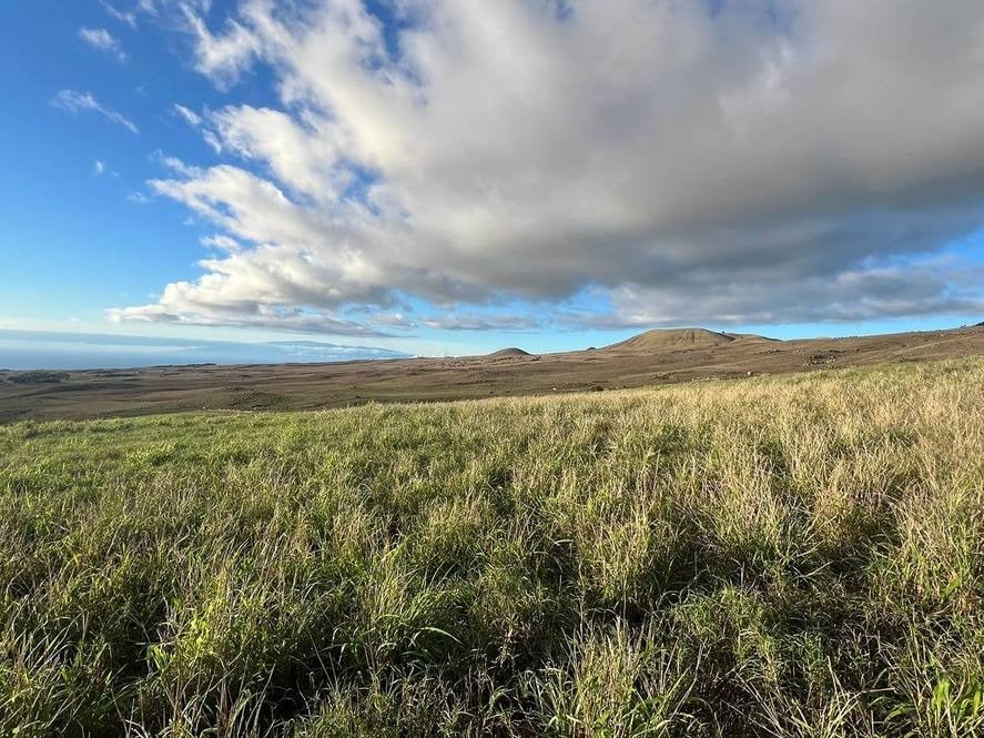 Grassy vacant lot with rolling hills and a distant ocean view.