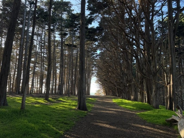 Moss Beach Trail 