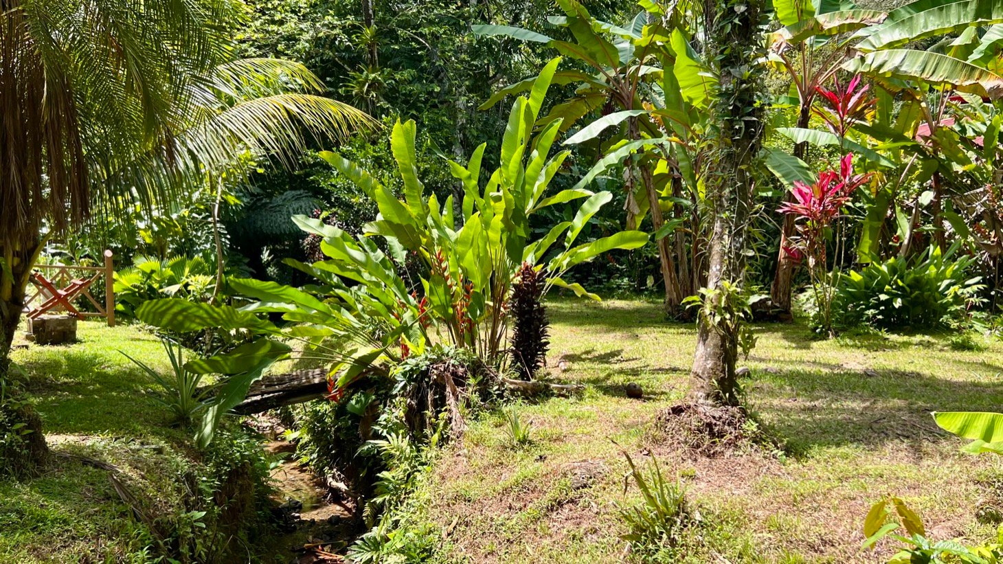 Tropical River Property with Cabinas, Pool & Event Space in Ojochal