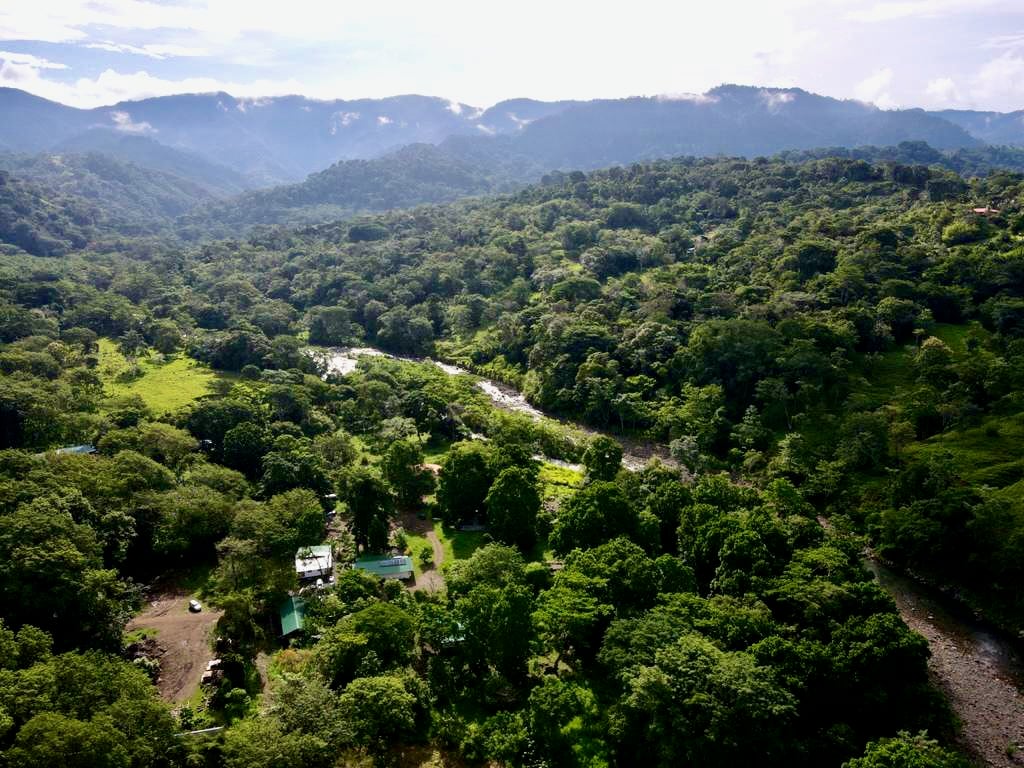 12.5 Acre property In-town for expansion, Enjoyment or Development