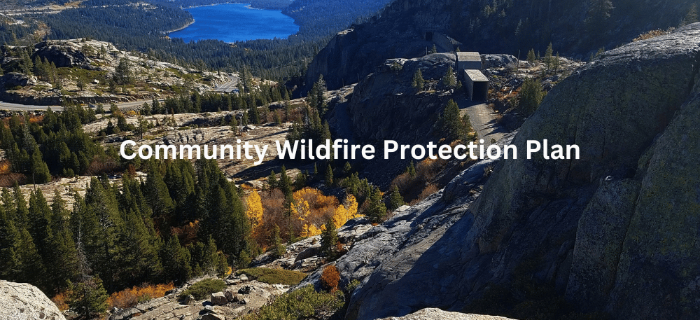 Community Wildfire Protection Plan