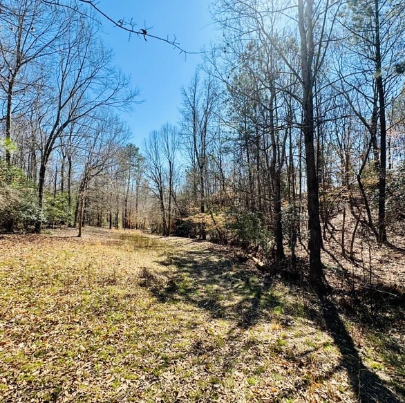 SOLD: The Perfect Property for Your Dream Estate! A Closer Look at the Stunning 14-Acre Estate Near Pelzer, SC