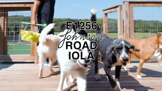 E1256 Johnson Road Iola WI