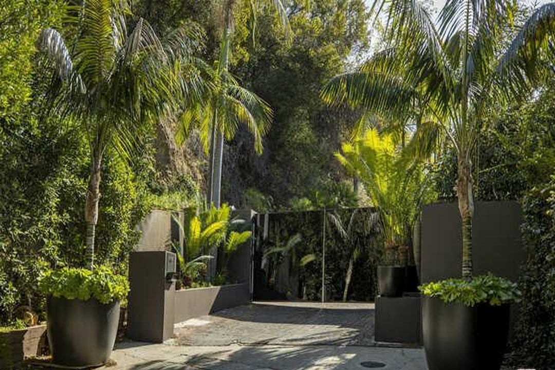 Garden Tranquil