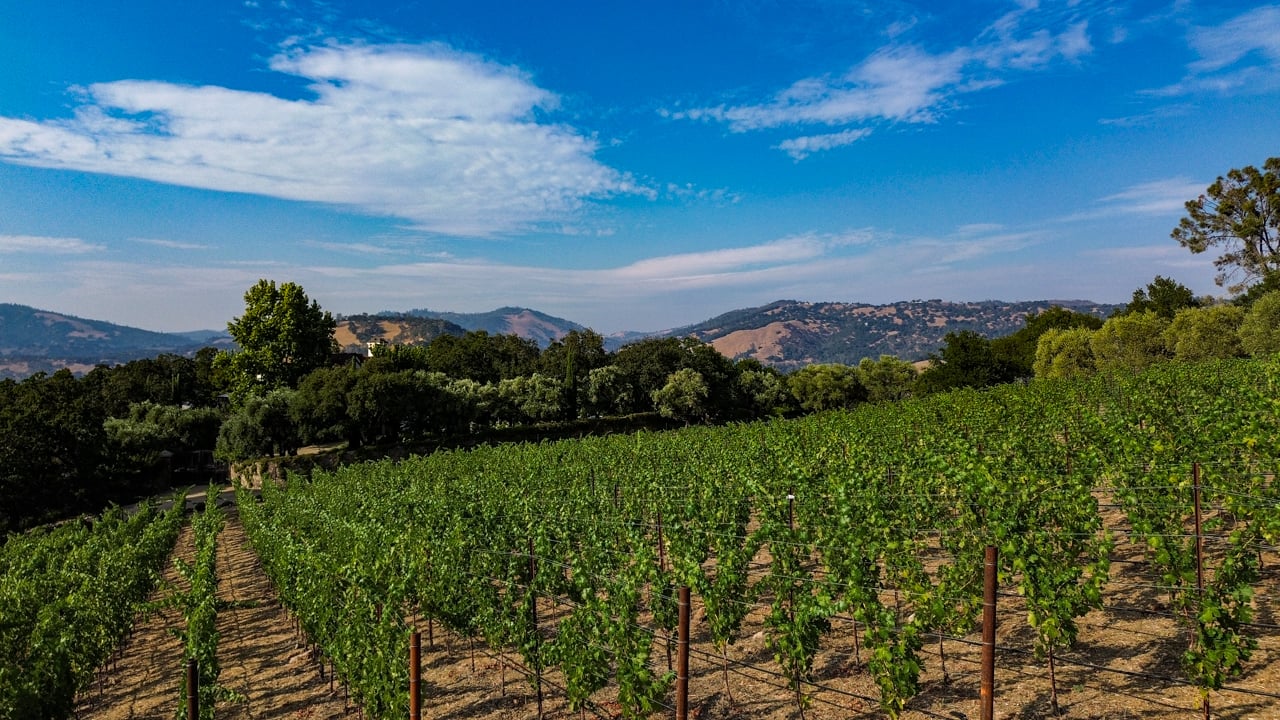 Napa Valley Compound