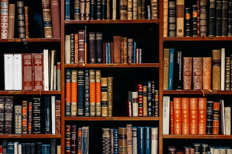 Wooden bookshelves filled with books in varied colors and ornate bindings.