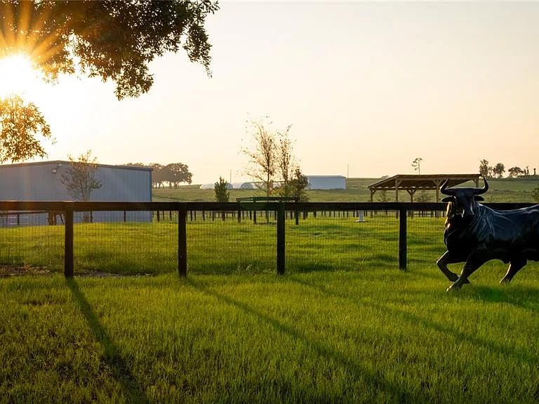 3650 SE 165th Ave, Morriston, FL 32668