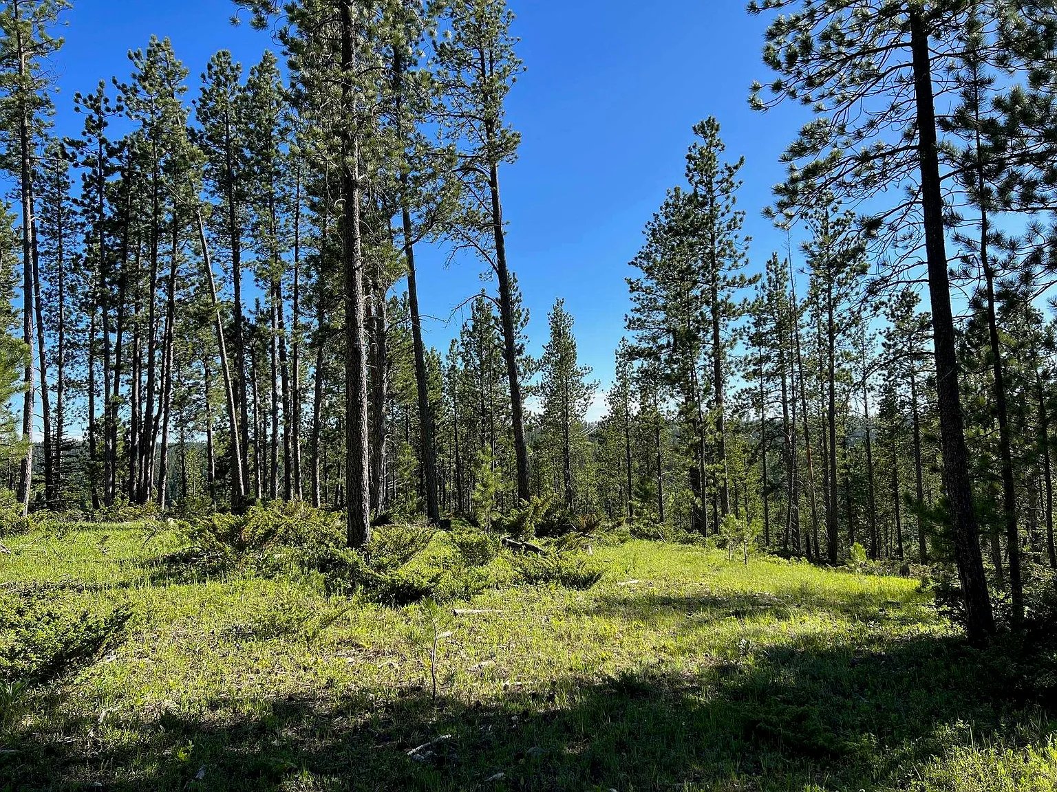 Lot 5 Boles Canyon Rd