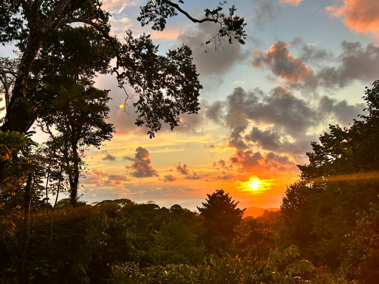 1.7 Acres Ocean View Lot with Producing Cabin in Uvita
