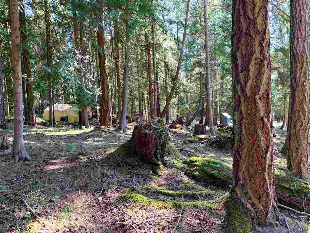413 Campbell Bay Rd