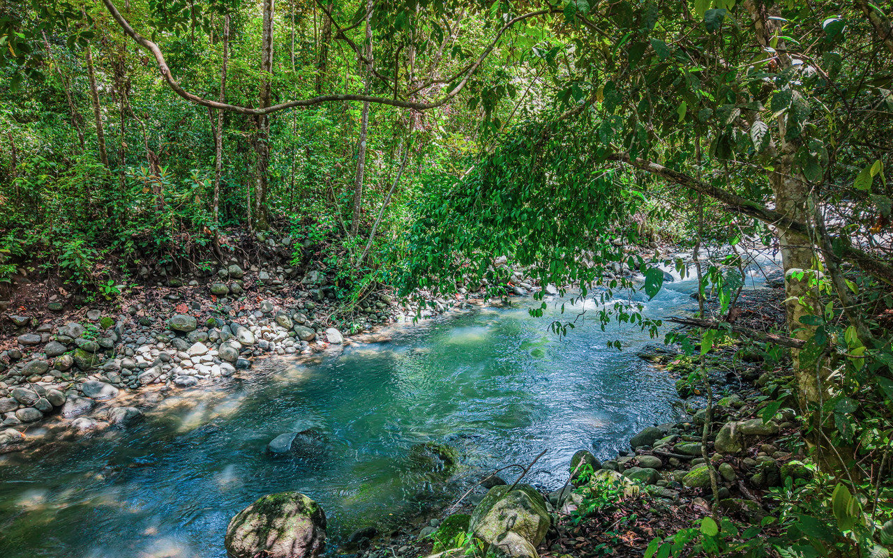 Unique Riverfront Home With Prime Location in Uvita