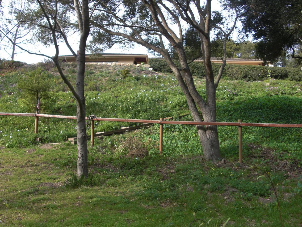 1365 Estrella Dr