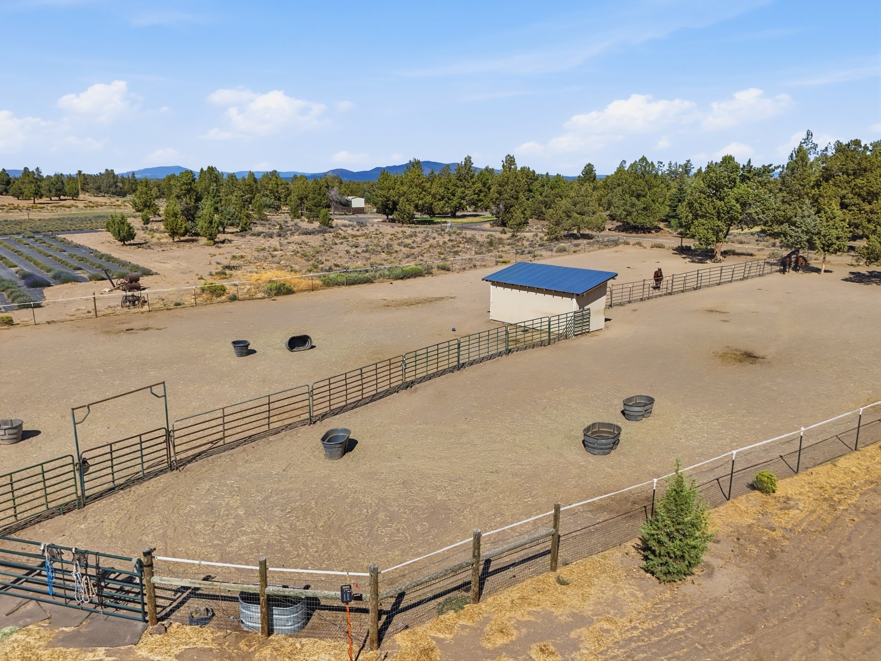 Ghost Creek Ranch 