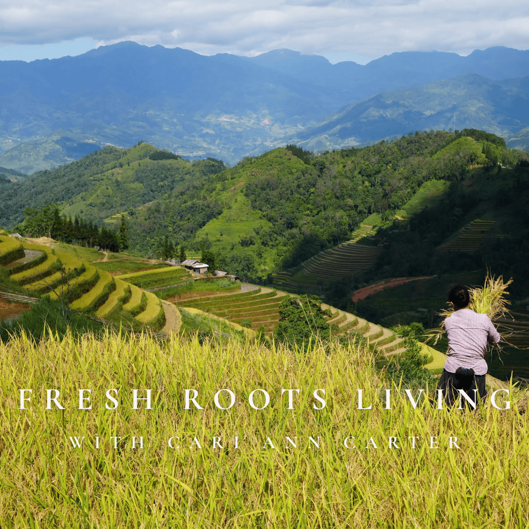 Travel: Advisor Vanessa Abbe