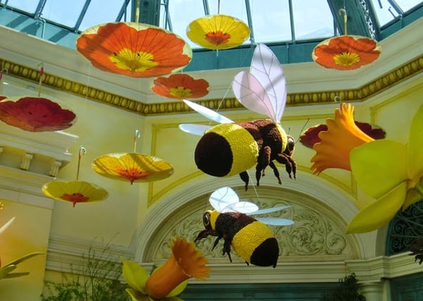 Las Vegas Is Always Buzzing