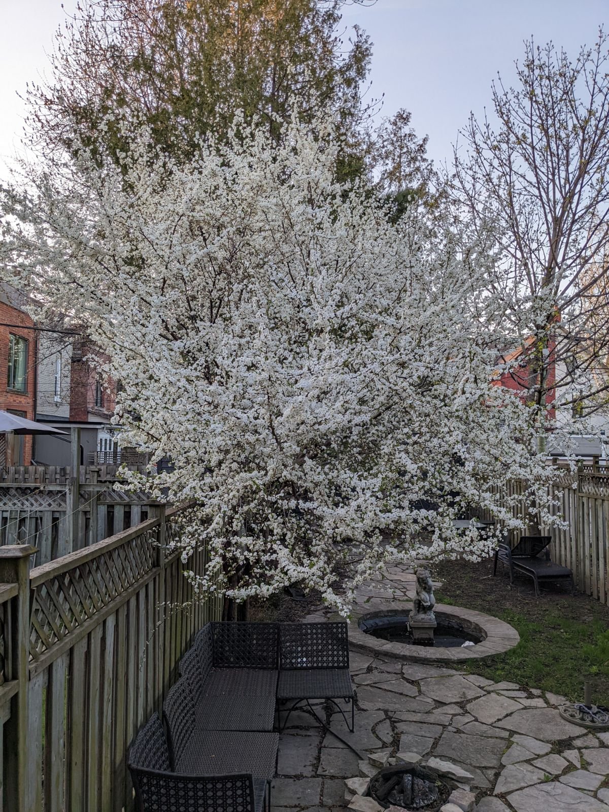48 Galley Avenue