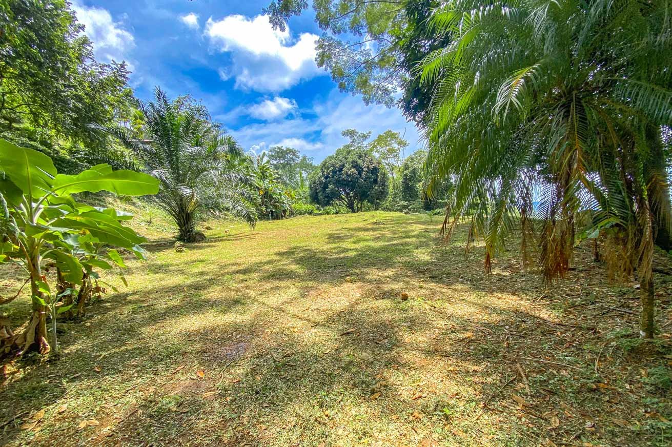 Large Uvita Lot With Whale’s Tail Ocean Views, Sunsets & Legal Water – Ready to Build!