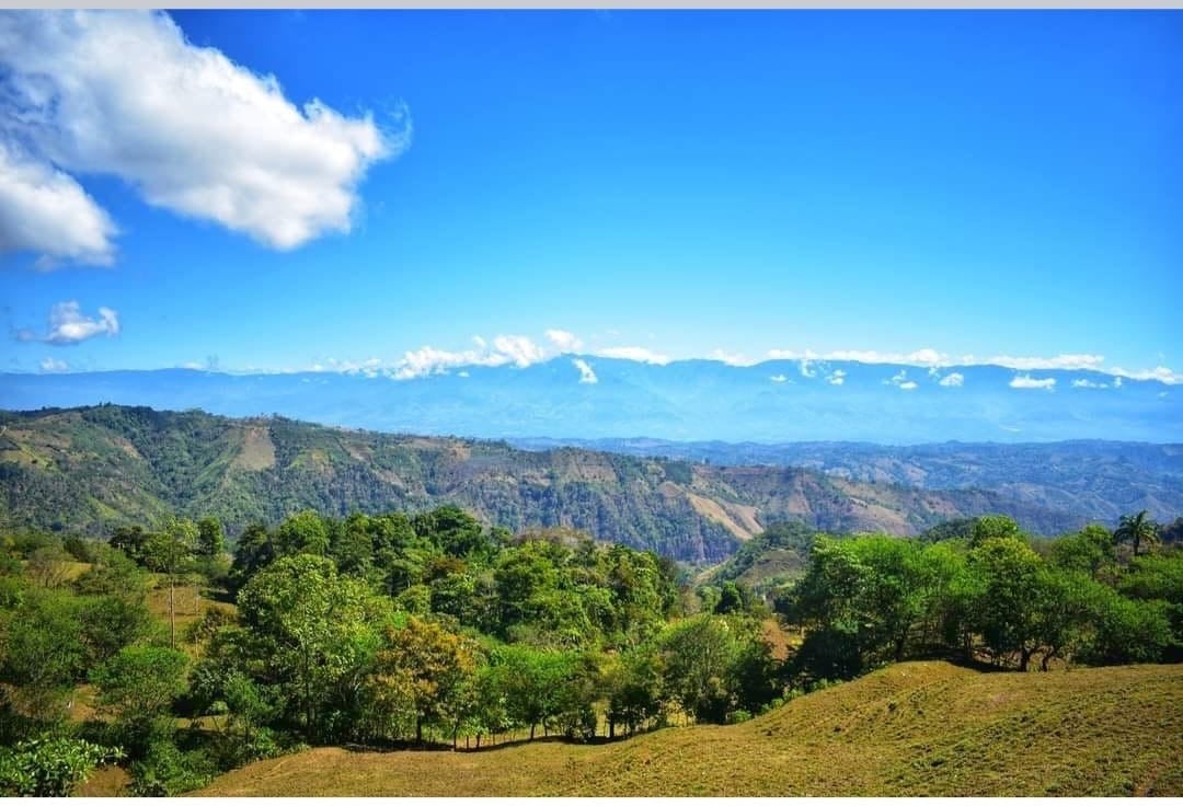 Los Cerritos Farm – 6.4 Acres of Ocean & Mountain Serenity