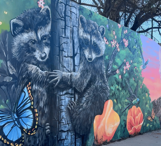 Art that Heals:  A Mural of Hope  for the Palisades