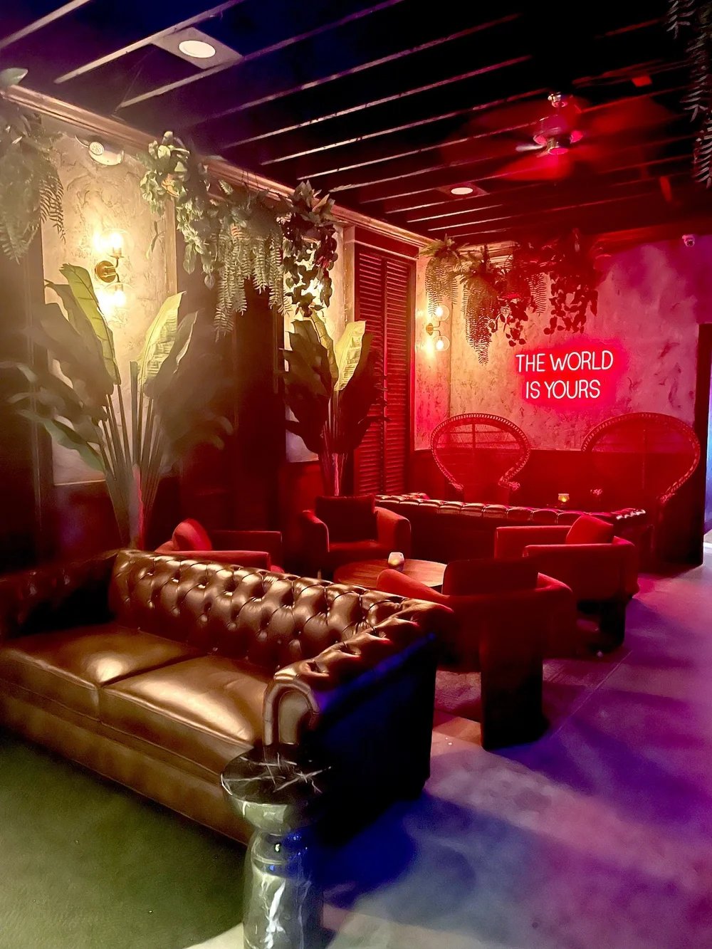 Moody speakeasy-style cocktail bar representing hidden bars and speakeasies in Tampa Bay, Florida