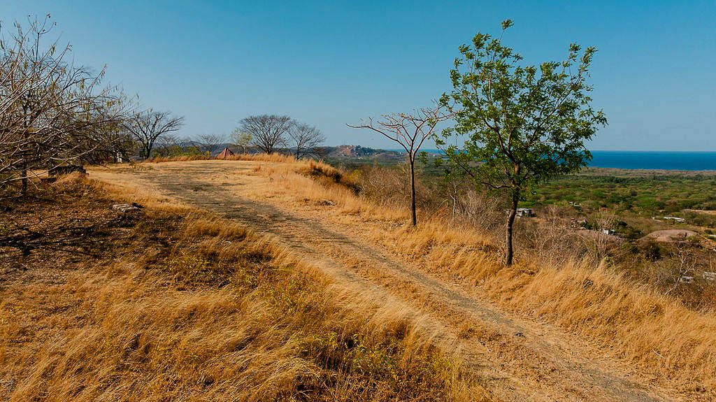 Corona del Cabo Lot 16 | 5,014 m² Buildable Lot Near Playa Grande