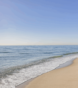 Sereno  Fort Lauderdale