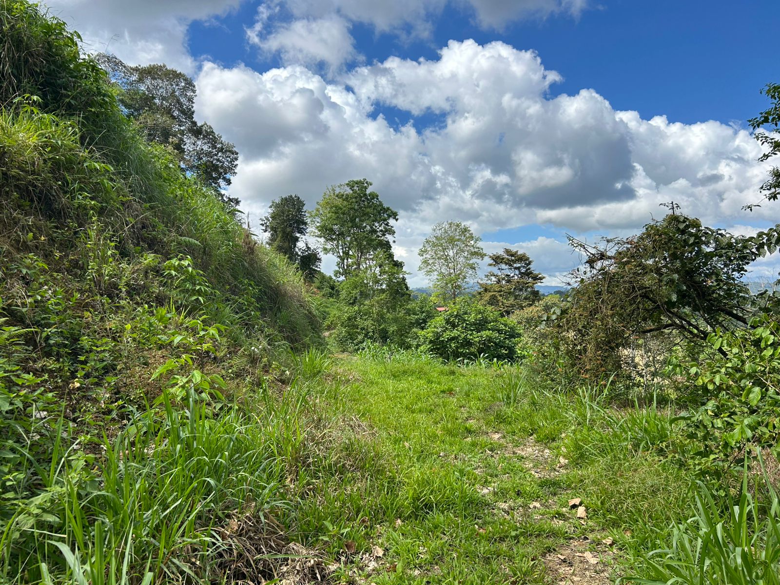 10-Acre Waterfall Farm with Amazing Valley and River View in San Isidro.