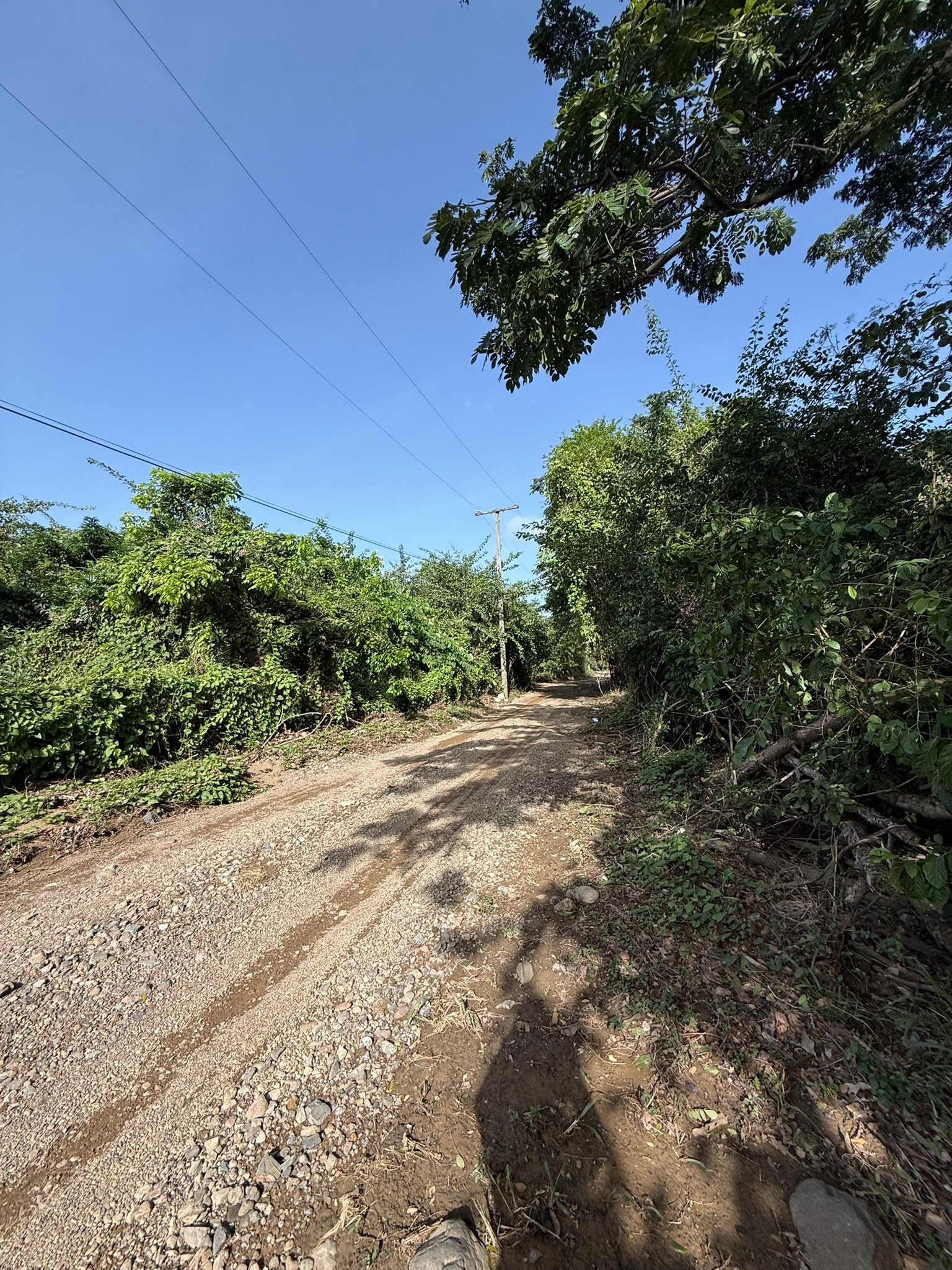 1081 Josiah's Bay 1 Acre Land