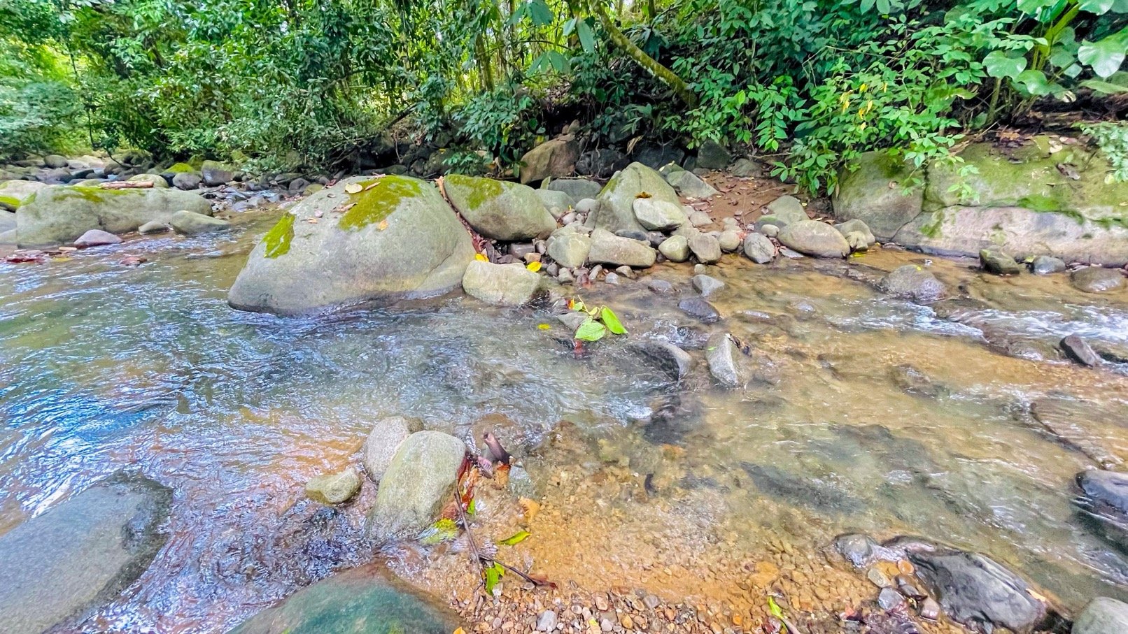 COSTA RICA LAND FOR SALE | LARGE FLAT PRIVATE PROPERTY WITH MOUNTAIN VIEWS, RIVER & FRUIT TREES