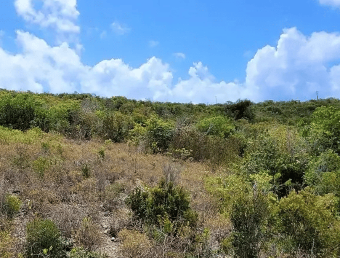 Long Bay beachfront land  - Superior for investment and development