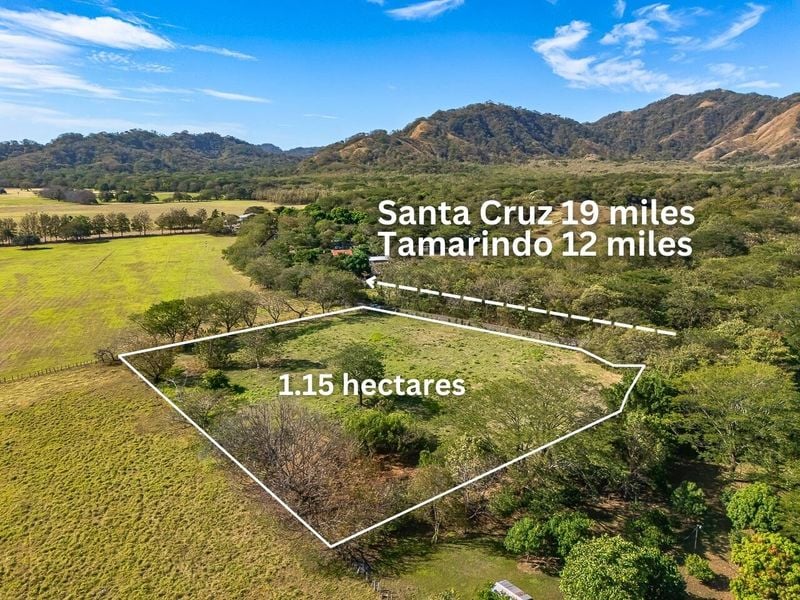 Portegolpe Lot | 2.84 Acres Property With Paved Road Frontage