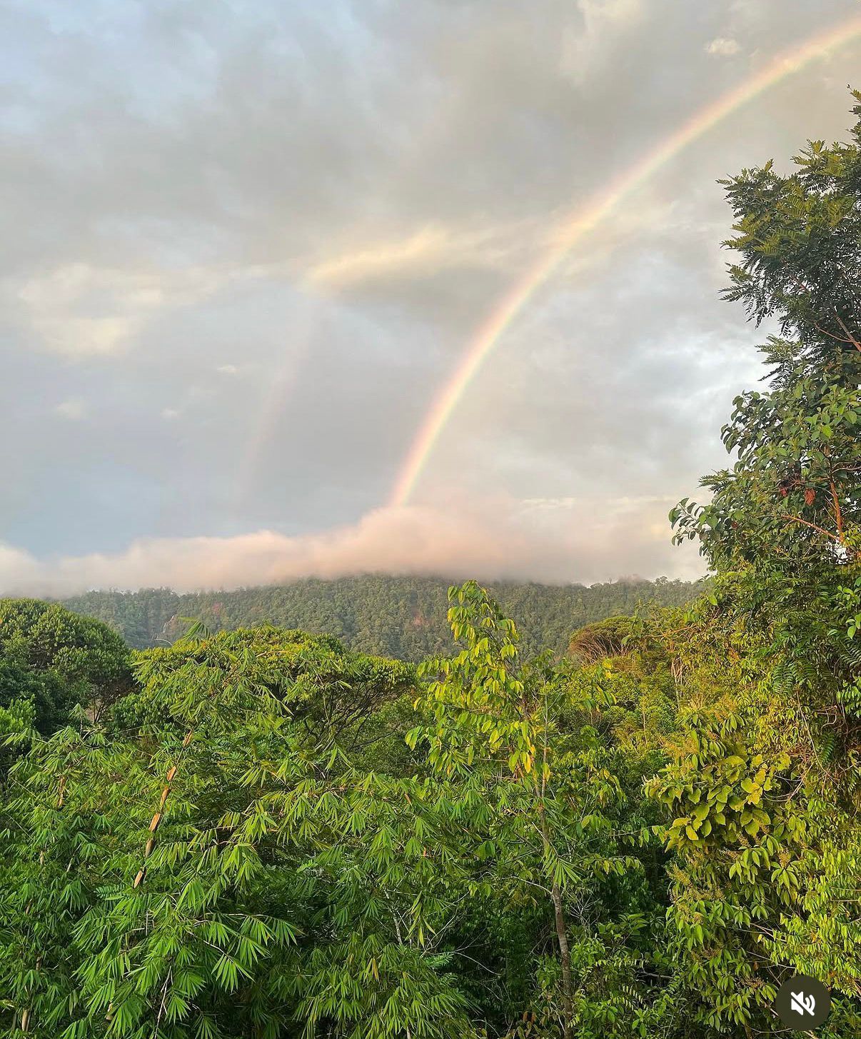 Mountain Estate with Waterfall View & Partial Ocean View, Commercial Kitchen, Gym, Massive Saltwater Pool & 4 Building Sites