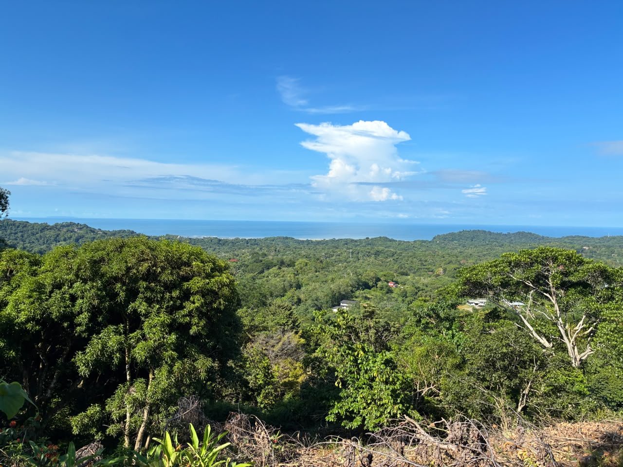 Spectacular Ocean View Lot in Ojochal Phase 9